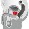 šestá fotografie produktu Silikonový prostatový vibrátor s rotací Prostate Massager Twister (20 cm, Ø  4,1 cm) (kód 05844440000)