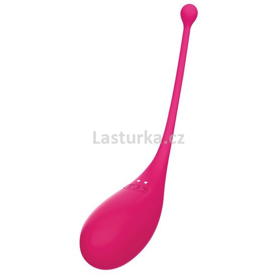 05538750000_Adrien Lastic Palpitation